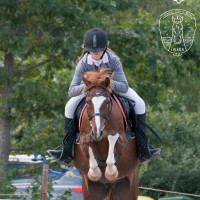 Champion pony