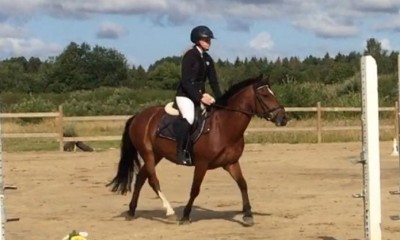 Müüa poni