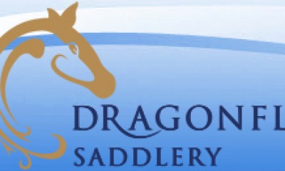 Qualified Saddle Fitters at Dragonfly Saddlery, Master Saddlers, Cornwall, Devon, Somerset, Dorset, Wiltshire and Gloucestershire