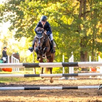 Sport pony