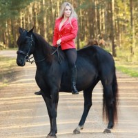 Sportponi Moonlite Melody 