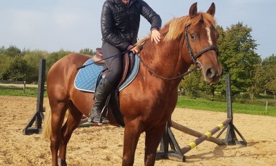 Sportponi Kroksas