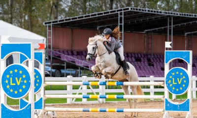 Welsh pony for sport