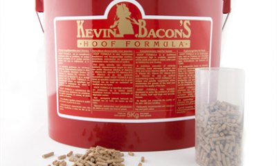 Kevin Bacon's kabjahooldus