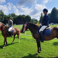 Sport pony