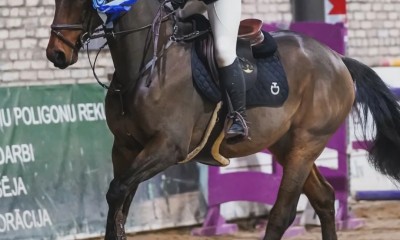 7 a ESH mära Popcorn Time (Pronto van de Maltahoeve x Agrovorms Amerigo)