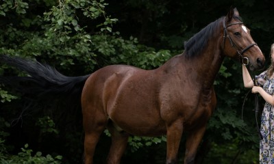 Ferdinand
