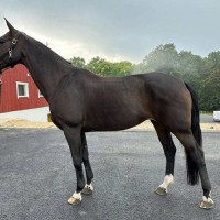 Schoolmaster
