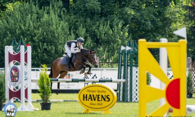 Sport pony