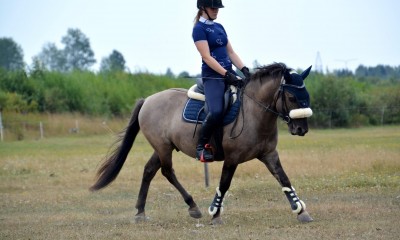 Apollo