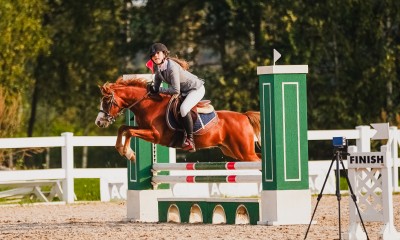 Welsh pony for sport