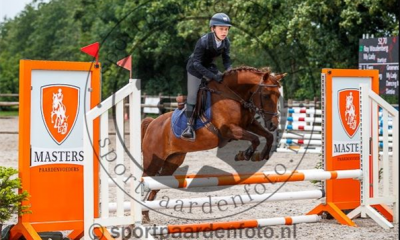 Childrens Pony for sale 136.5 cm
