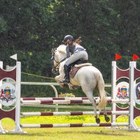Welsh pony