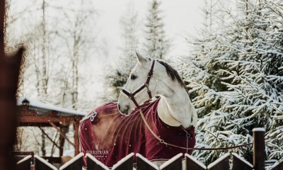 KOGENUD TAKISTUSSÕIDUHOBUNE