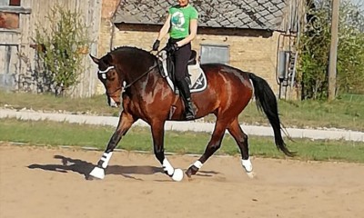 äärimmäinen Anal vittu porno