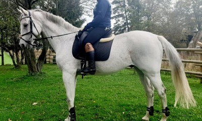 Schoolmaster Elamo