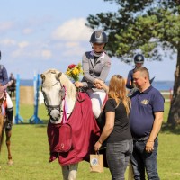 Conemara sport pony